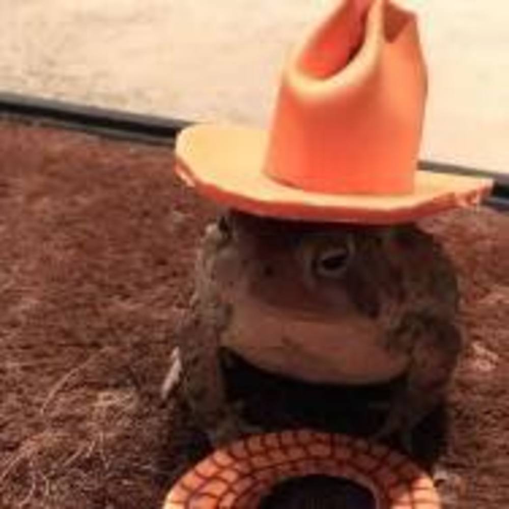 Meet your Posher, Imara